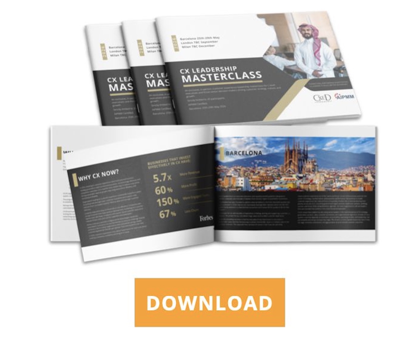 Screenshot 2026-02-09 at 11.55.24